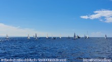 Regata Zonale ILCA - Trofeo Pavarino 2022